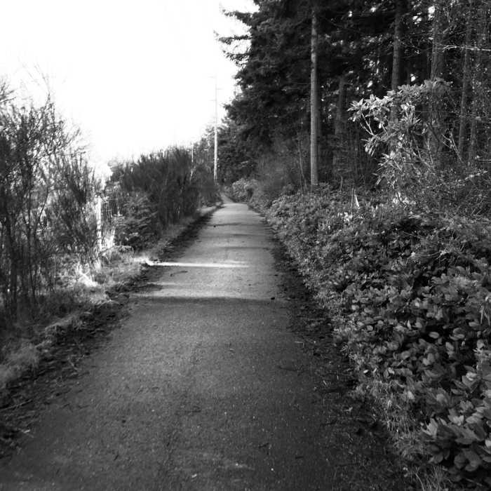 Kettles trail along SR 20. Near Kettles Roadside Trail