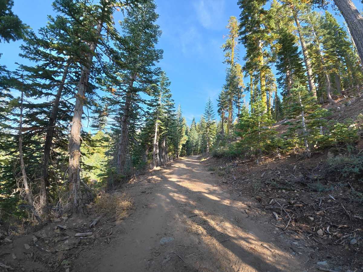 FS 6N21Y trail photo