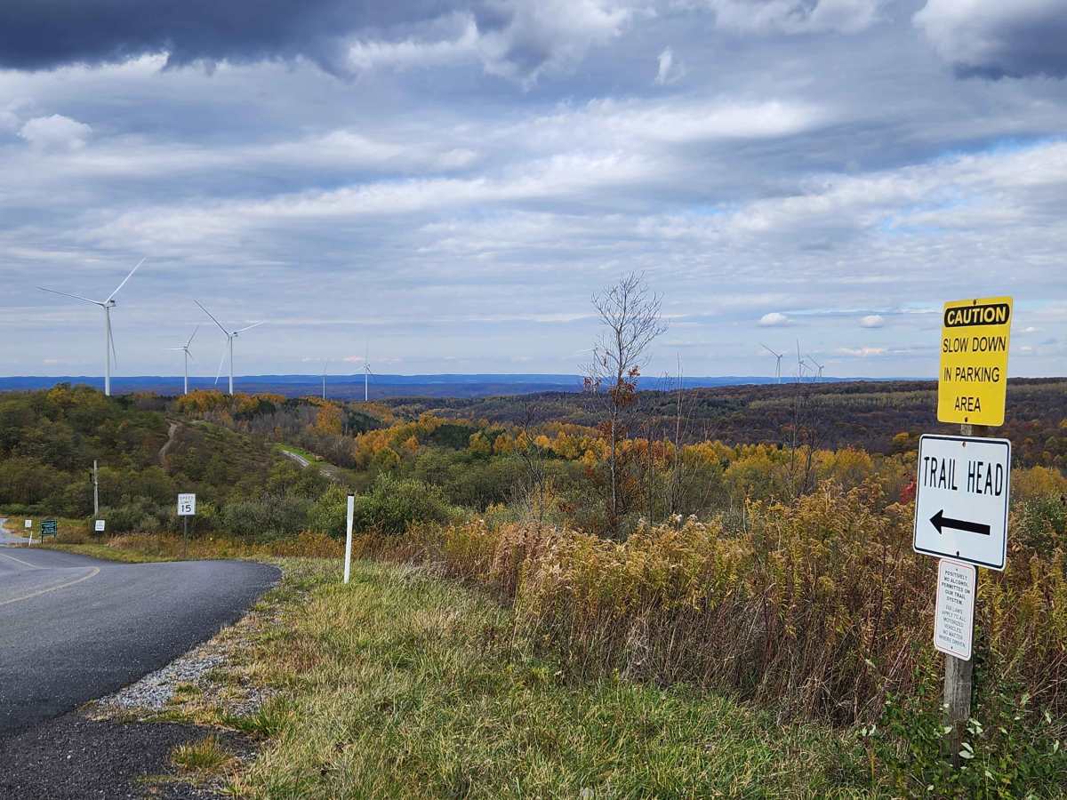 Outer Loop East - Rock Run Recreation Area photo 6