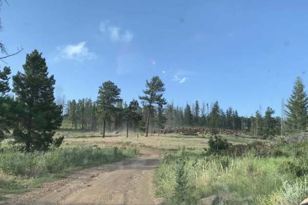 Pratt Creek