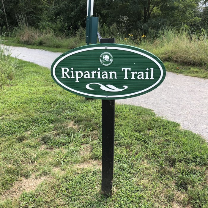 Near Riparian Trail