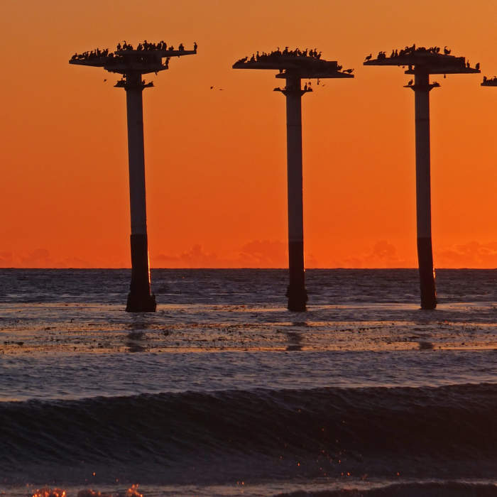 Near Ellwood Beach Trail