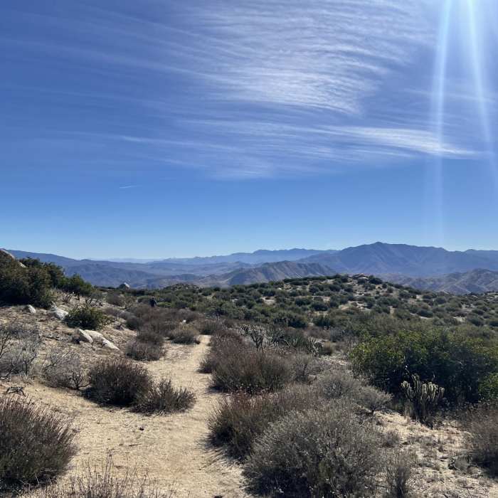 Near Wilson Peak via Culp Valley