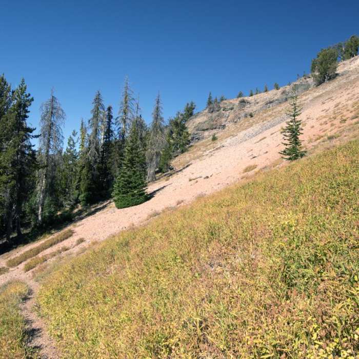Near Slide Lake via High Lake