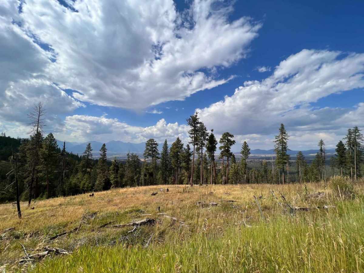 Middle Ambrose trail photo