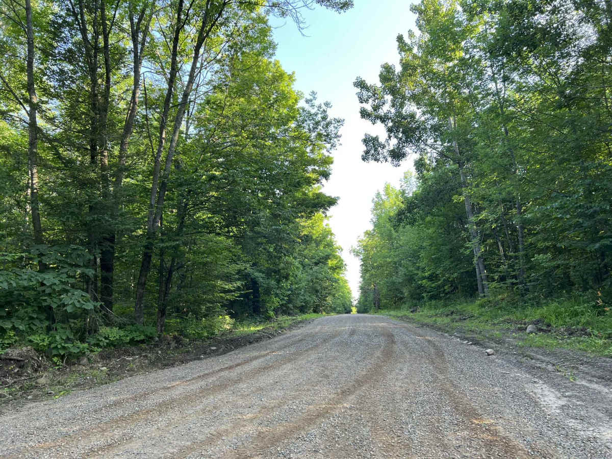 Johnson Road trail photo