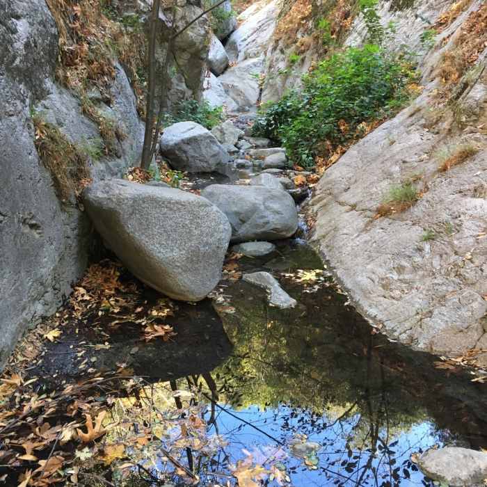 First water on Mt. Wilson Trail - Dec 9, 2020 Near Mt. Wilson Trail #11W22
