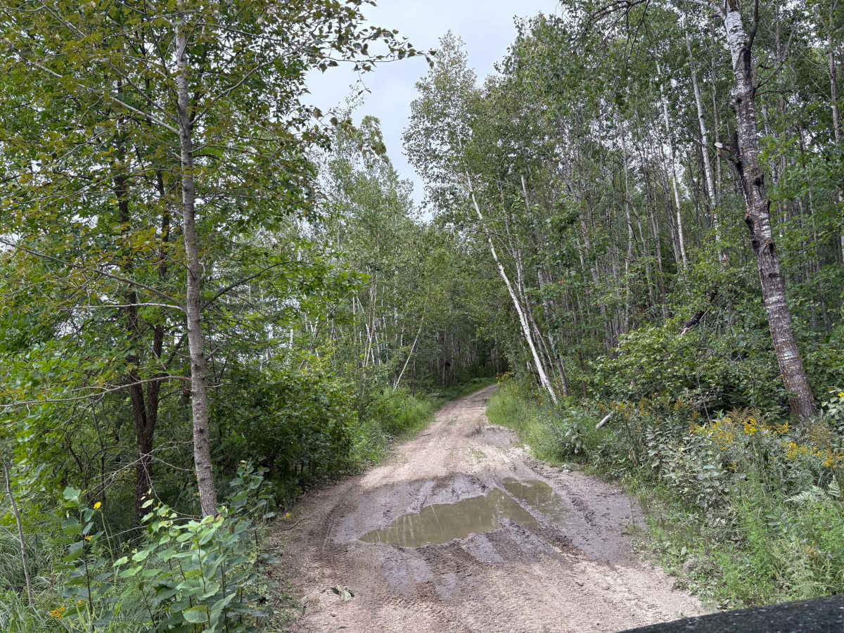 Old Many Point Trail photo 3