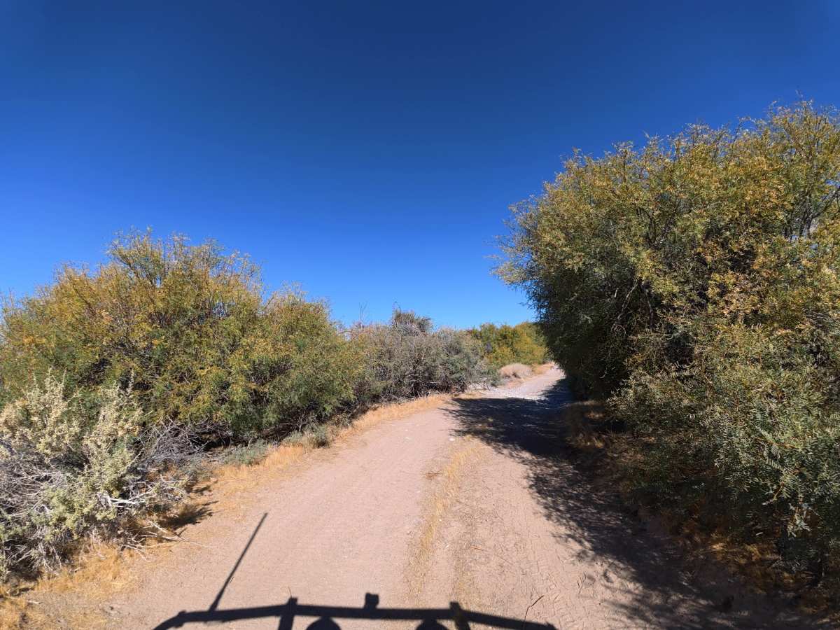 BLM RS2477 photo 4