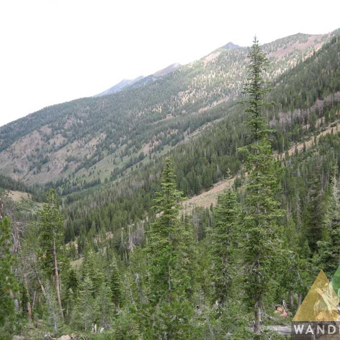 Near Jarbidge River
