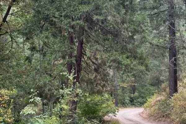 Payette Trail - FS 970