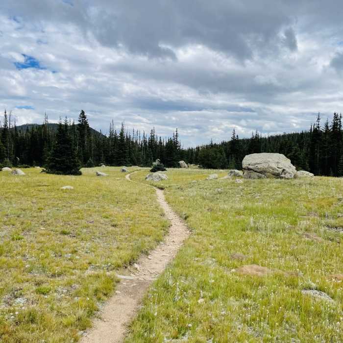 Near North Fork Trail