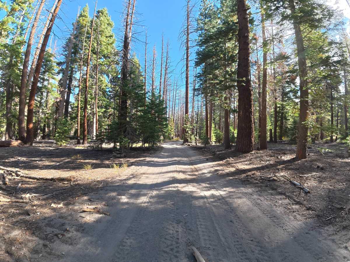 FS 3S107 trail photo