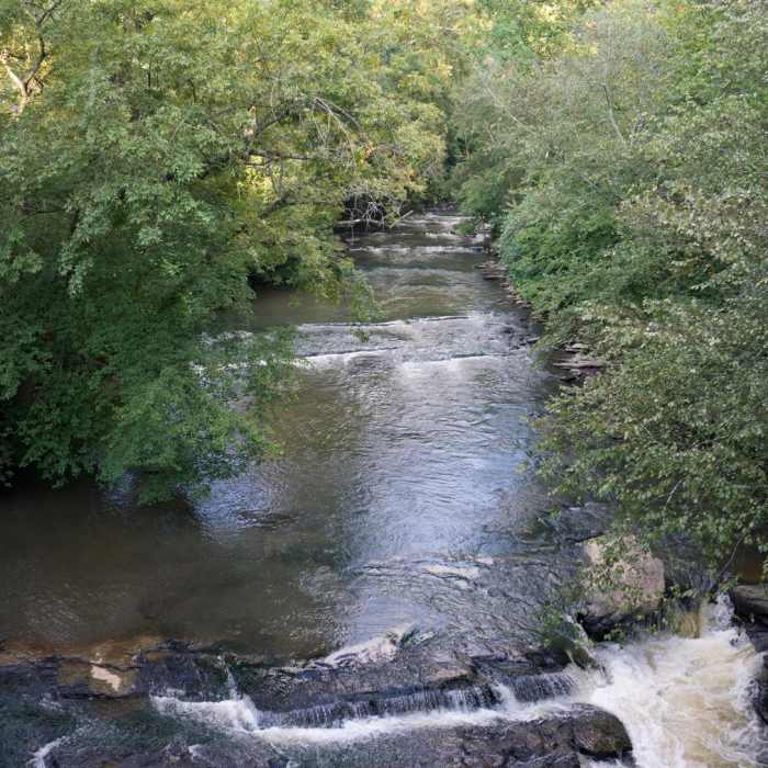 Near Vickery Creek Near Vickery Creek