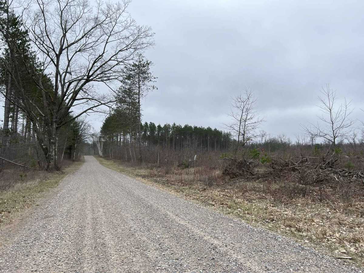 Saul Springs Road - FS 2336 photo 4