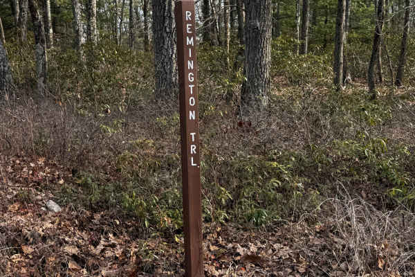 Remington Trail