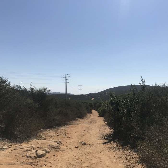 Near Ridgeline Maintenance Road