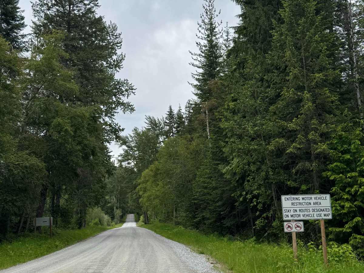 Metaline - FS 2200 trail photo
