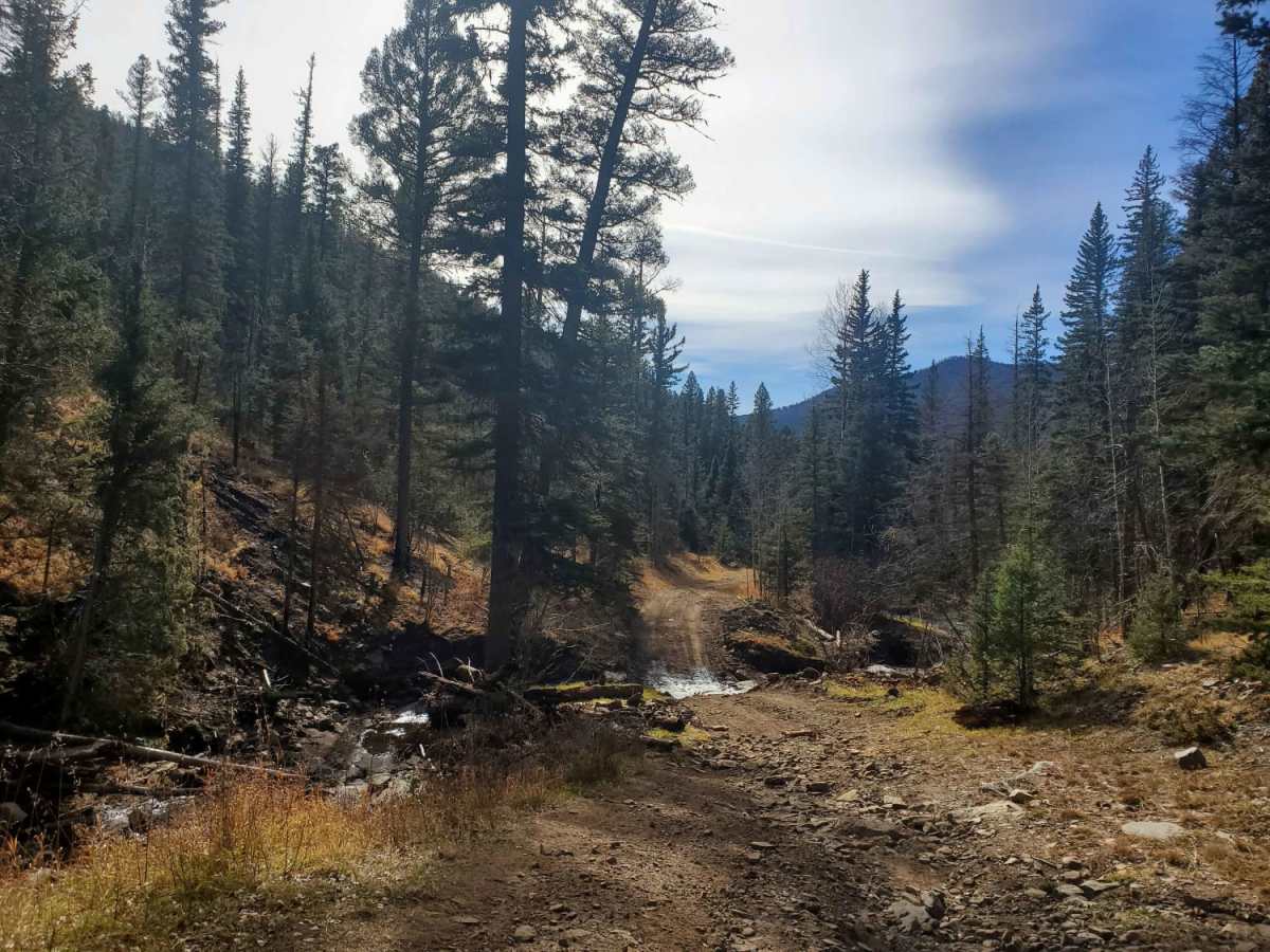 Luna Creek Trail photo 4
