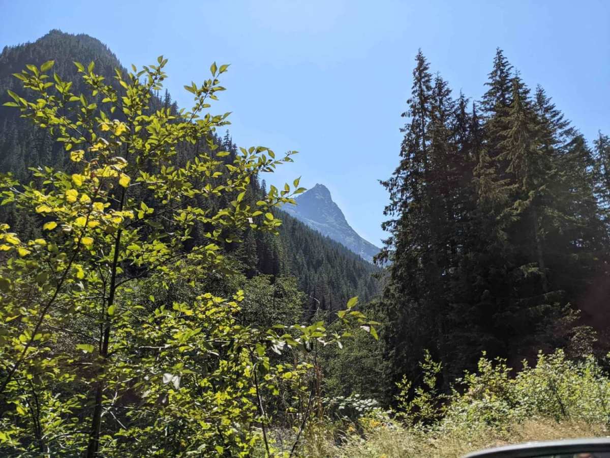 Hamma Hamma Trail with View of The Brothers photo 4