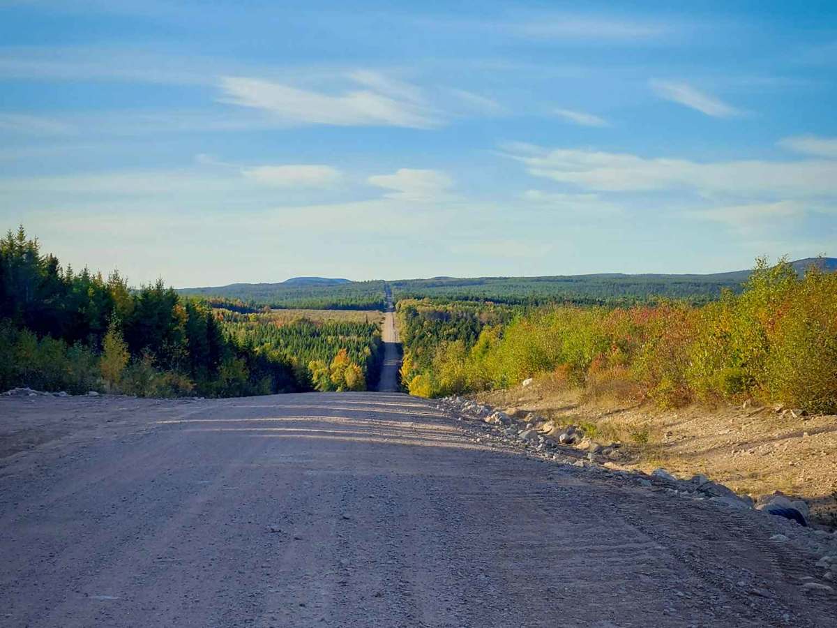 Seven Mile Lake Road trail photo
