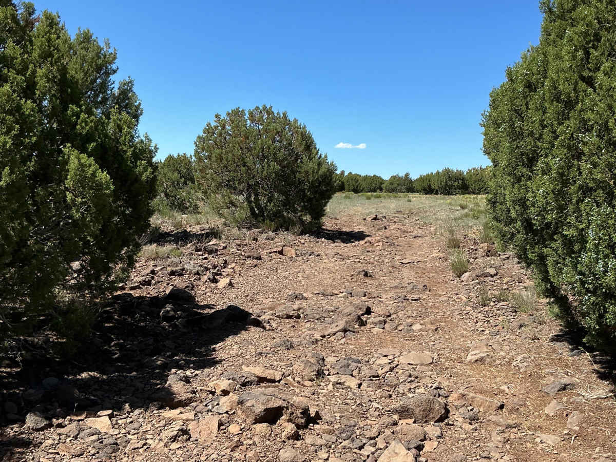 FS 142H trail photo
