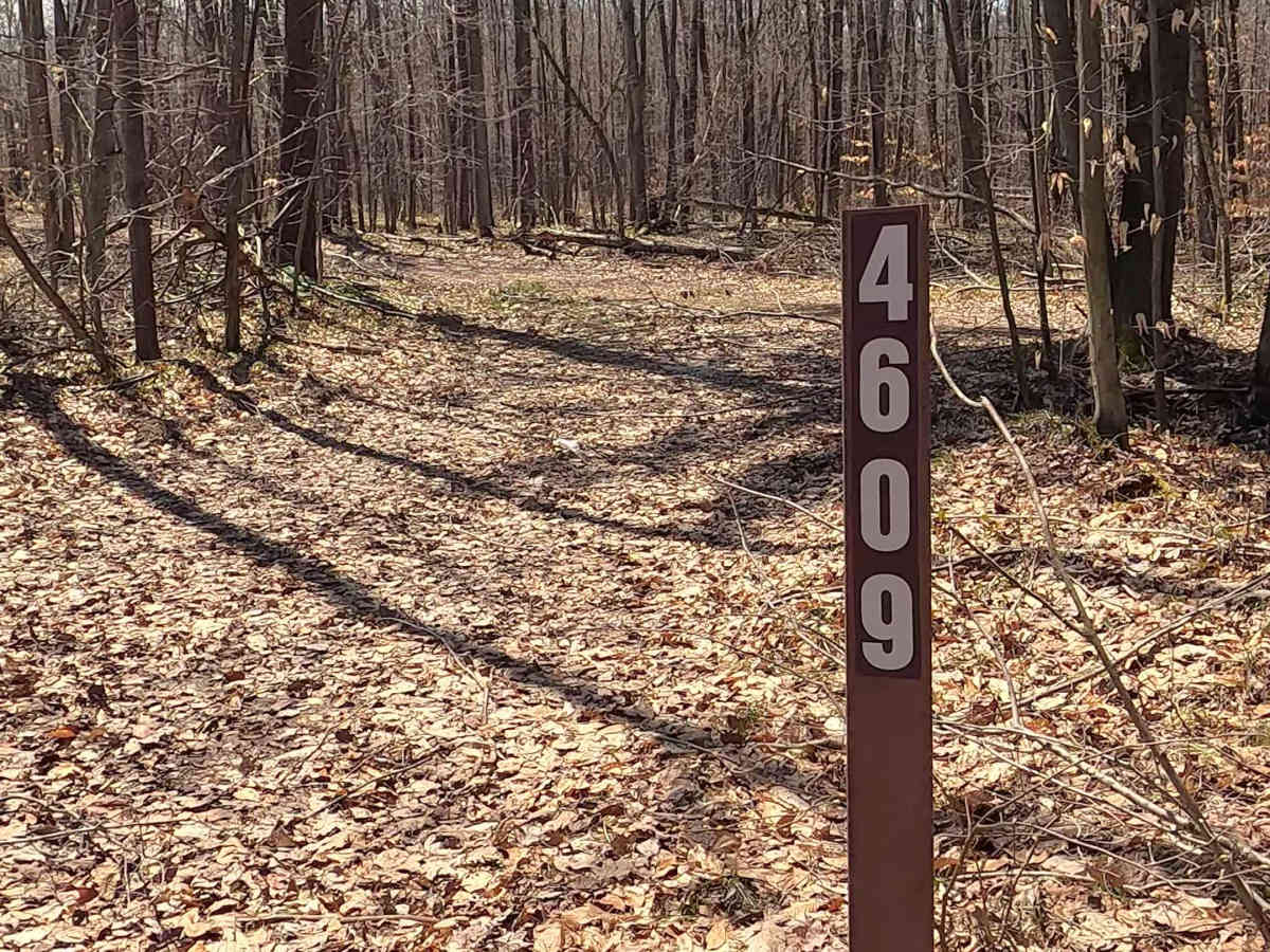 FS 4609 trail photo