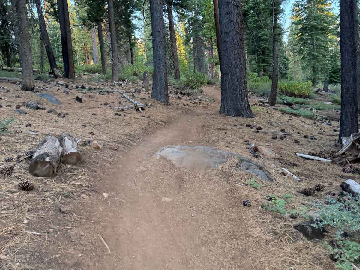 Beaver Tail Trail (Upper) photo 5