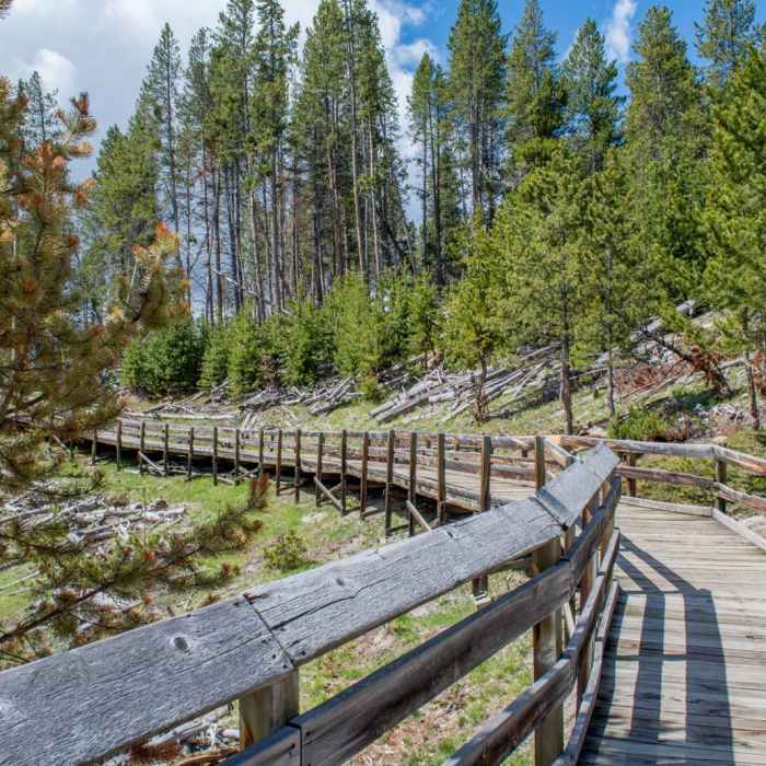 Near Mud Volcano Trail Near Mud Volcano Trail