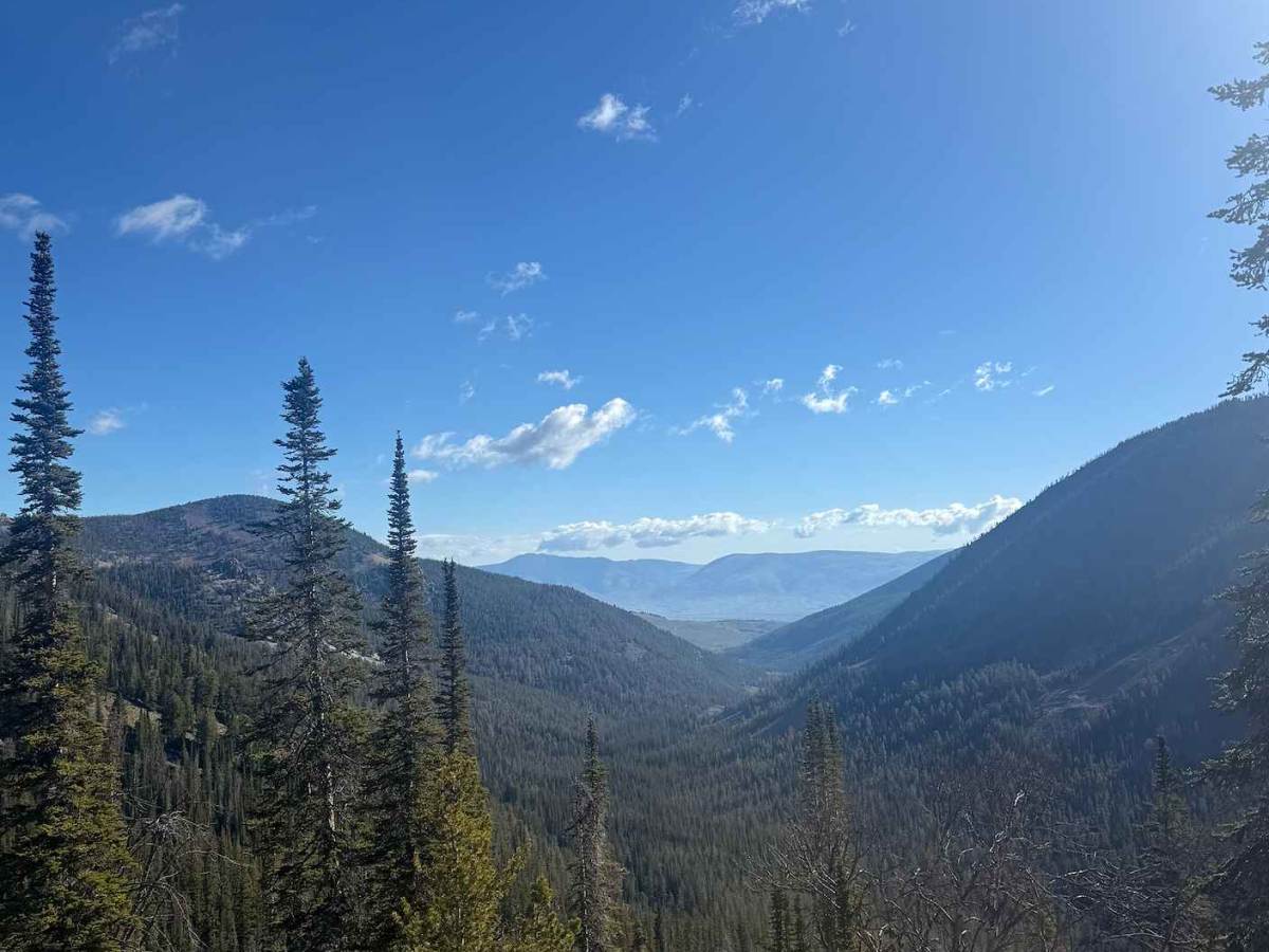 Patterson Trail photo 6