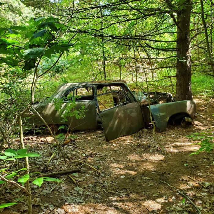 Near Landon Bay Loop