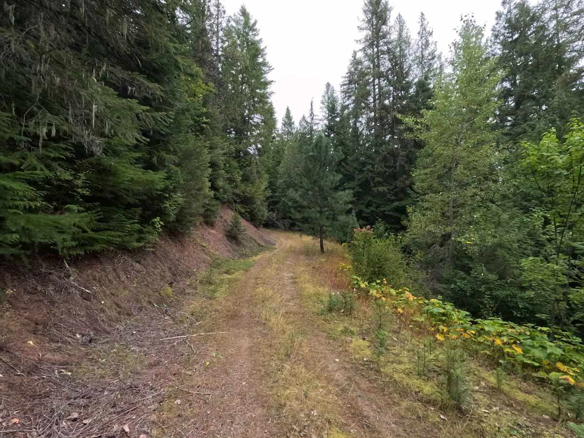 Flat Creek - FS 1095 photo 4