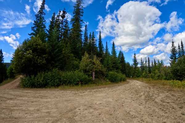 Newman Ridge Road (1185) - Canyon Creek Road (3816)