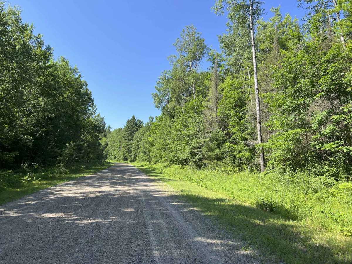 Sokagon Chippewa ATV/UTV Trail - Indian Route 10 photo 5