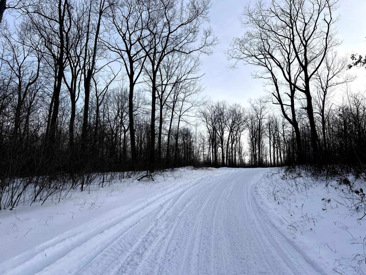 Nason Road photo 6