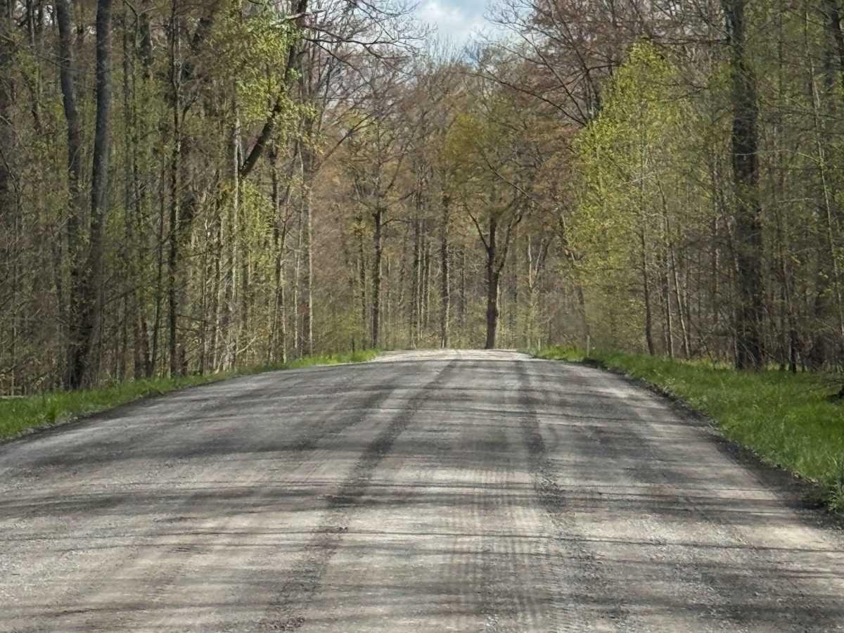 Four Mile Road photo 4