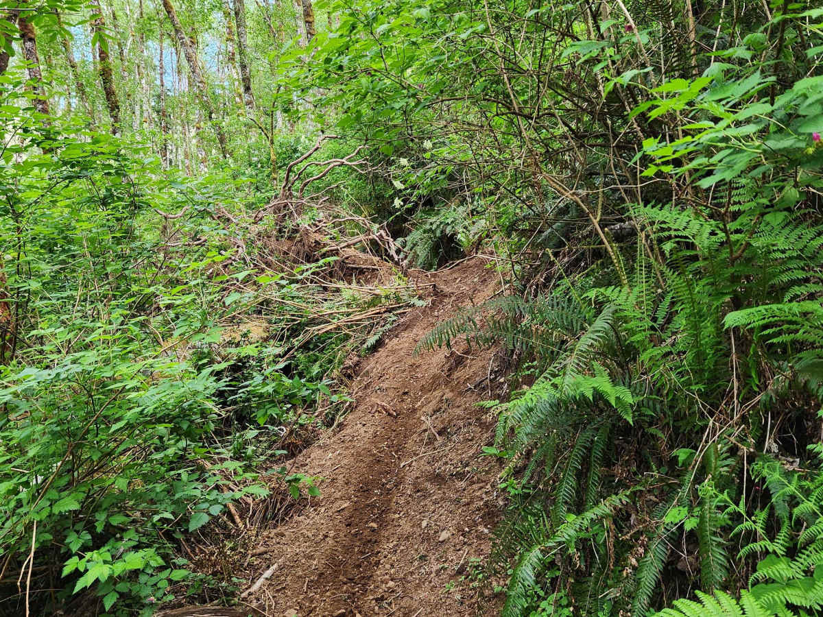 Rock Candy West trail photo