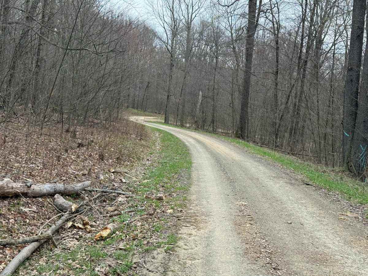 Hemlock Run - FS 267 photo 4