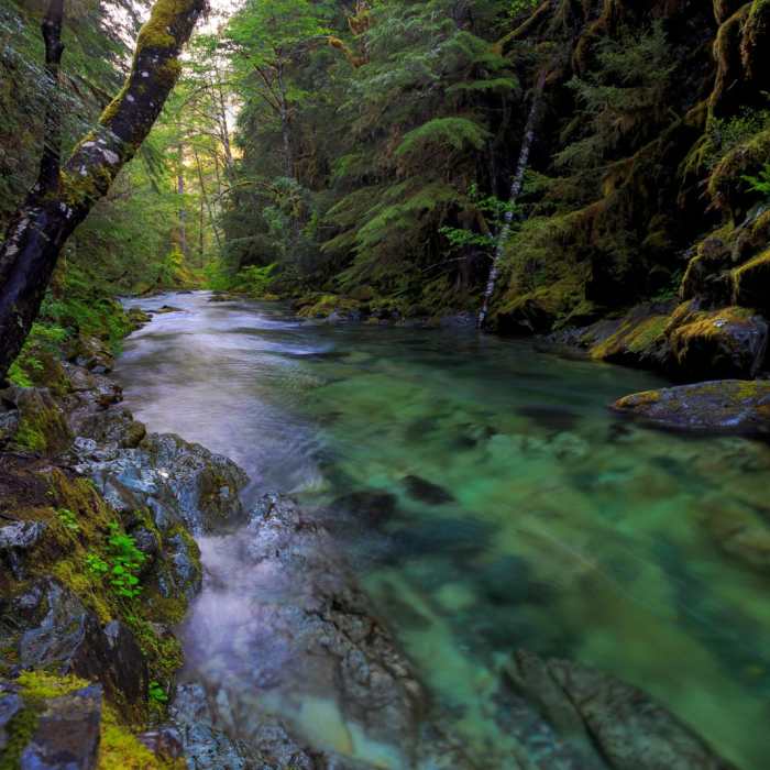 Near Opal Creek Hiking Trail
