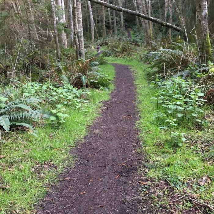 Near Brave Heart Trail