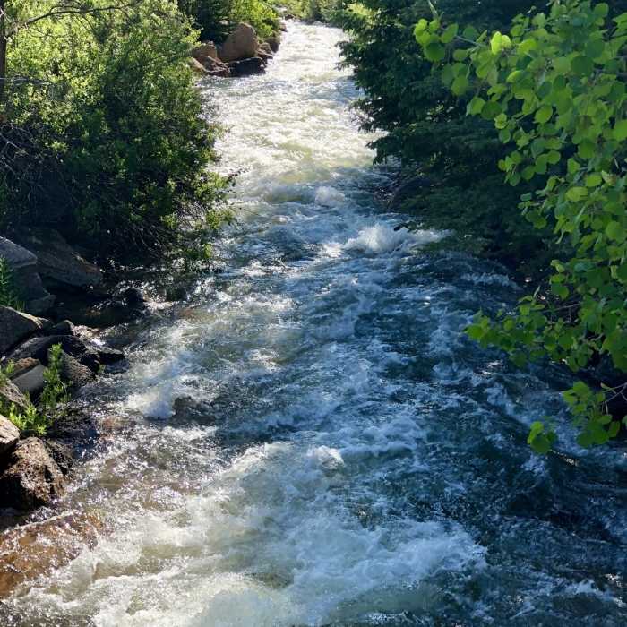Near Rampart Reservoir Trail #700