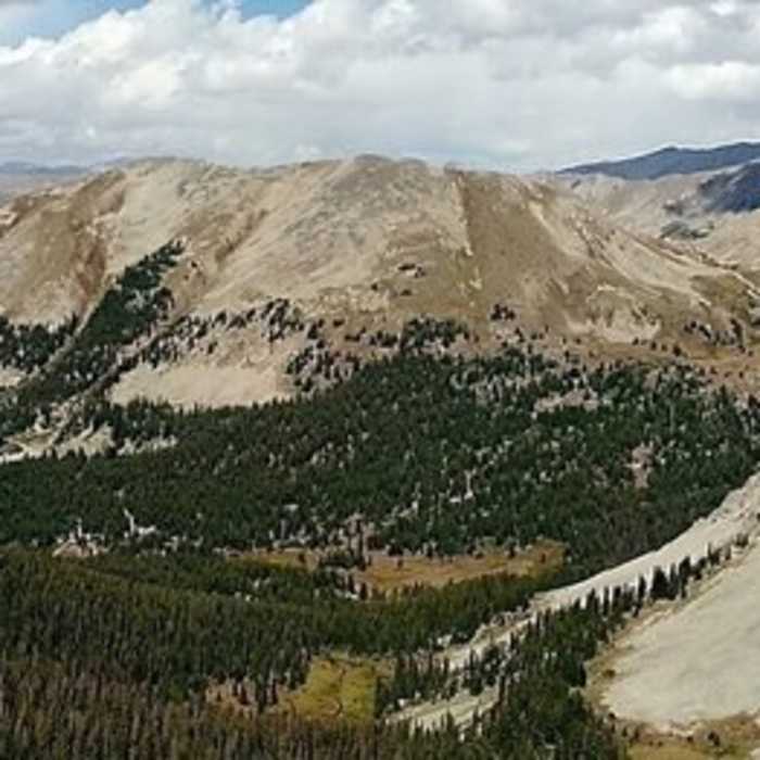 Near Canyon Creek Trail