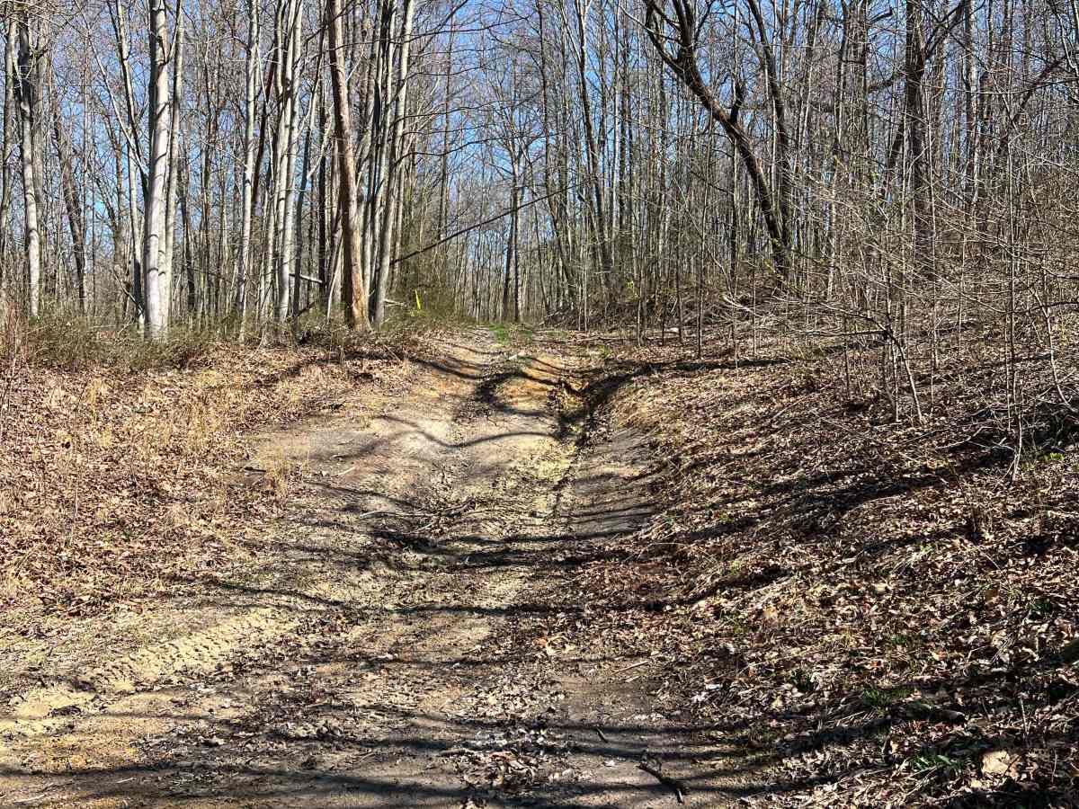 Q42C trail photo