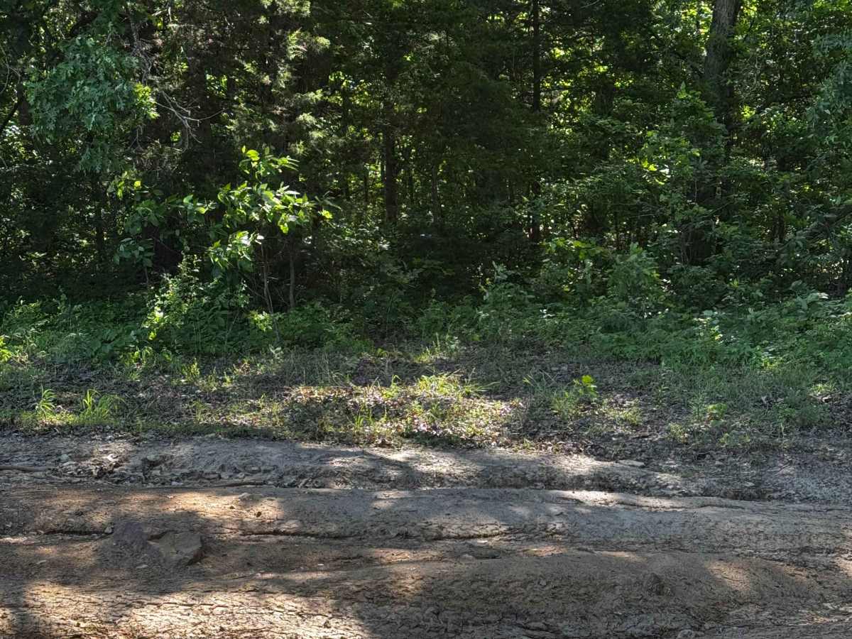 Inner Trail 14 photo 2