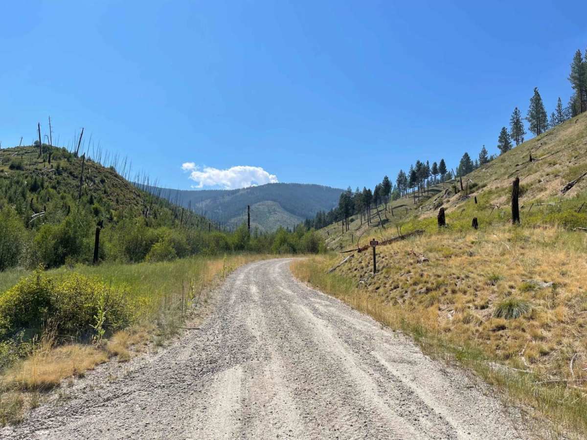 Gilbert No Creek trail photo