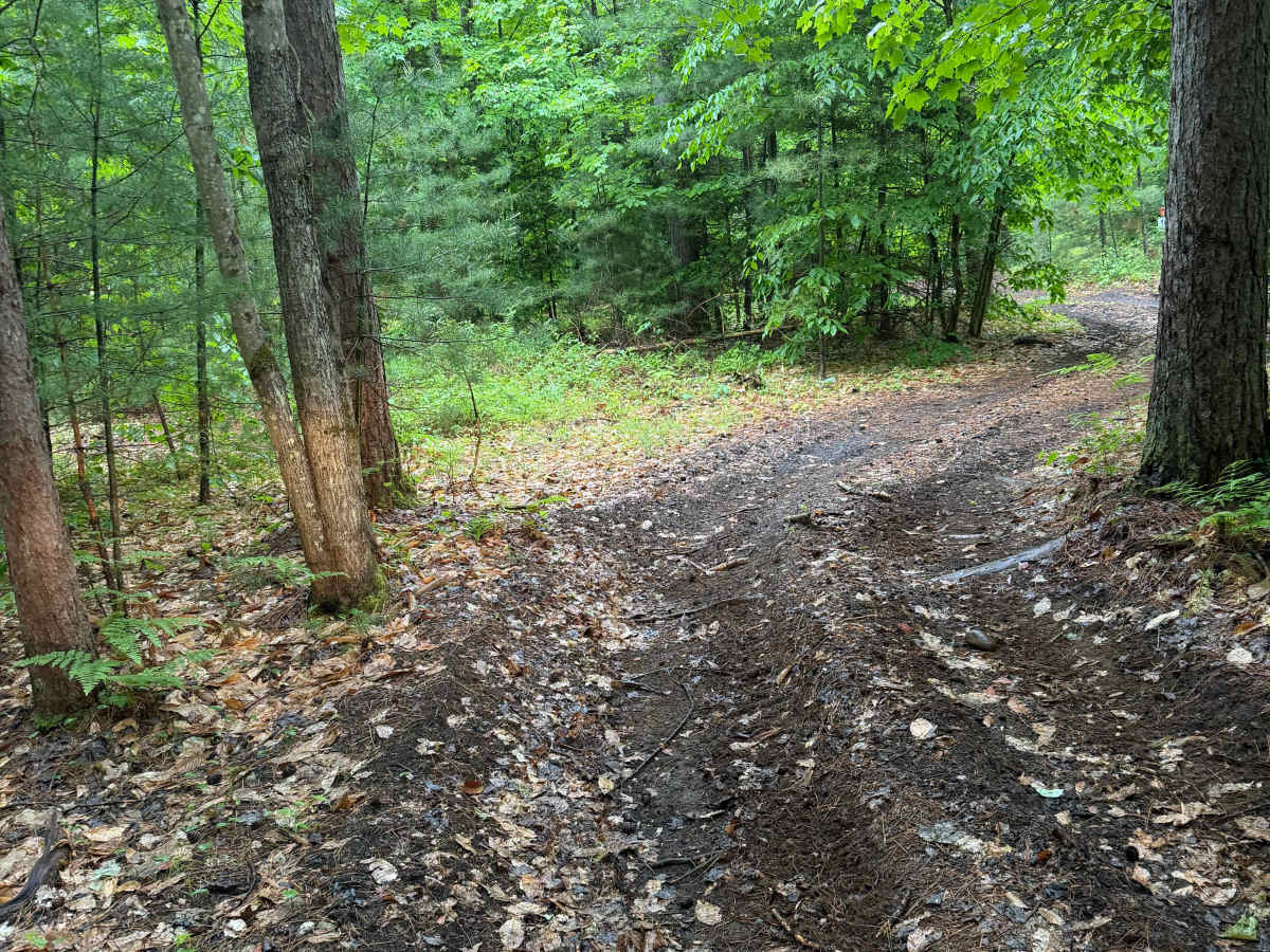 Wildcat Road Green Trail Loop photo 6