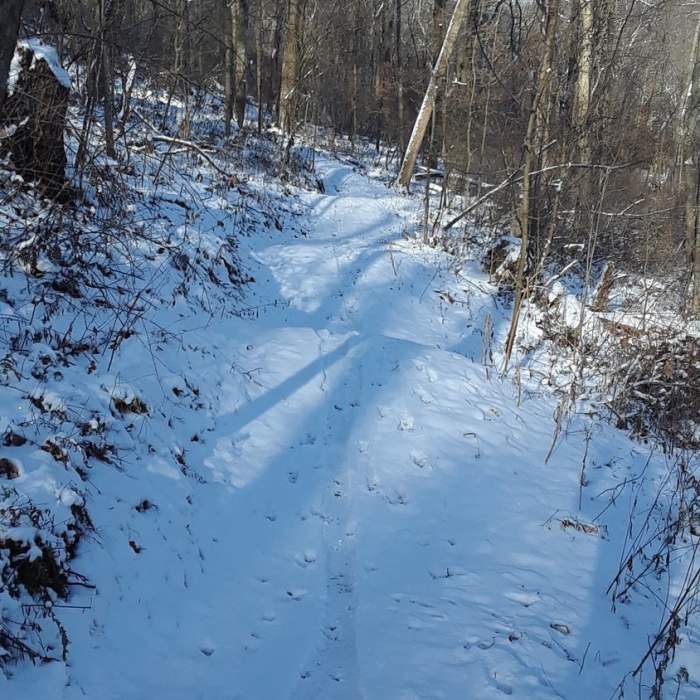 Snow covered bumps. Near Yinz G.O.Y.S.