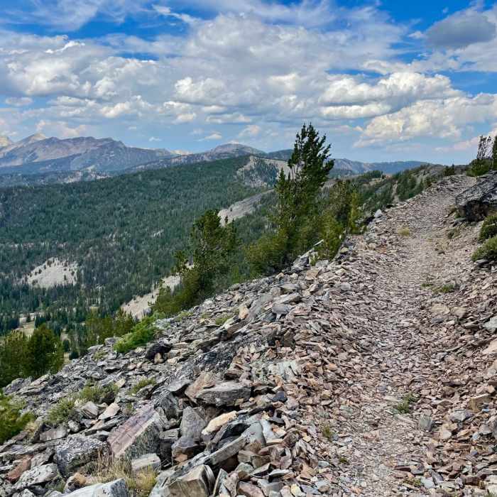 Near Continental Divide Trail: Montana-Idaho Section 10