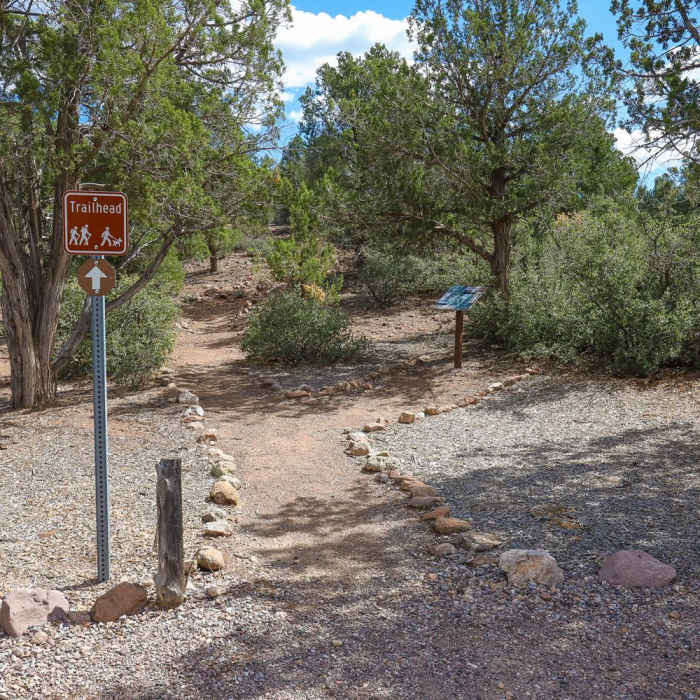 Near Beaver Dam State Park Interpretive Trail