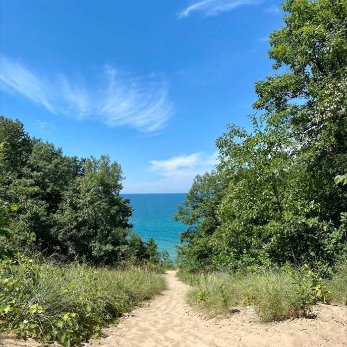 The view of Lake Michigan from the peak of the first dune. Near Trail 8 - 3 Dunes Challenge